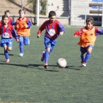 10064_WMB2765