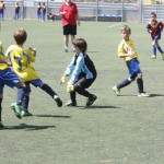 10652_WMB3364